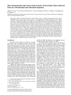 Horse Domestication and Conservation Genetics