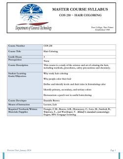 COS 210 - Williamsburg Technical College