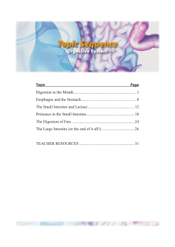 Dr Dave`s Digestive System Sample Pages
