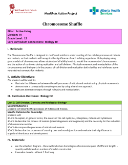 Chromosome Shuffle Activity