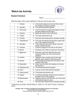 Lesson Four - Match-Up Activitiy
