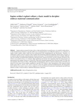Equine oviduct explant culture: a basic model to decipher