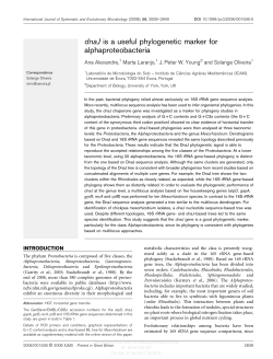 dnaJ is a useful phylogenetic marker for alphaproteobacteria