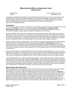 Mitochondrial DNA as a Molecular Clock