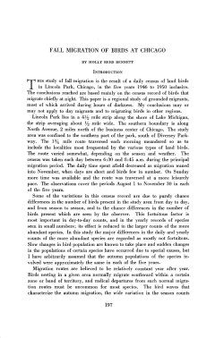 FALL MIGRATION OF BIRDS AT CHICAGO