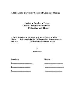 Cactus in Southern Tigray