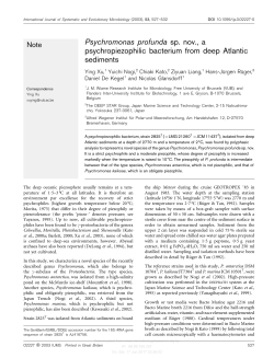 Psychromonas profunda sp. nov., a psychropiezophilic bacterium
