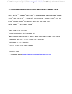 pseudouridimycin: a nucleotide analog inhibitor of