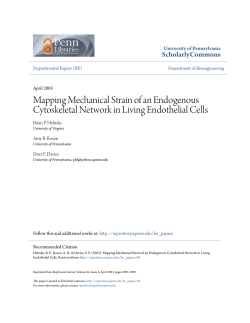 Mapping Mechanical Strain of an Endogenous Cytoskeletal Network