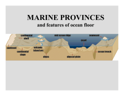 MARINE PROVINCES