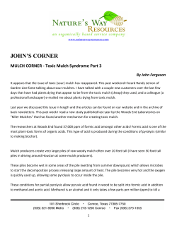 MULCH CORNER: Toxic Mulch Syndrome PART 3
