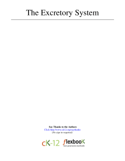 The Excretory System