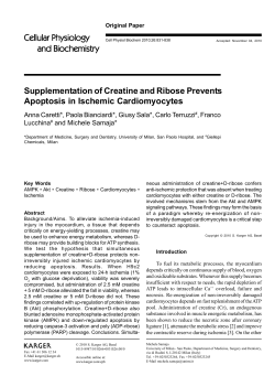 Supplementation of Creatine and Ribose