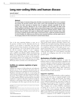 Long non-coding RNAs and human disease