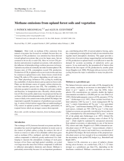 Megonigal (04-1054).vp