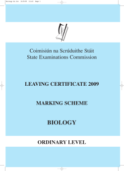 Paper (marking scheme)