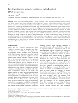Key transitions in animal evolution: a