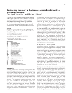 Sorting and transport in C. elegans