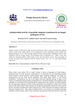 Antimicrobial activity of pesticide adapted cyanobacteria