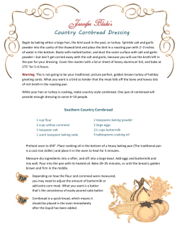 Country Cornbread Dressing