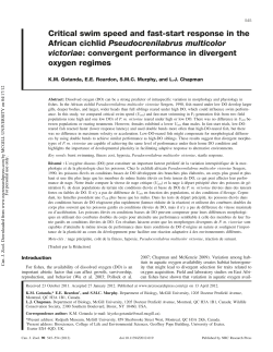 Critical swim speed and fast-start response in the African cichlid