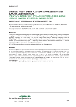 CHRONIC Cd TOXICITY OF BEAN PLANTS CAN BE PARTIALLY