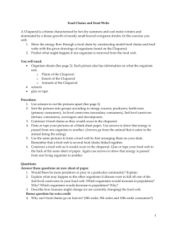 Food Chains and Food Webs