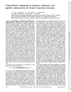 molecular and genetic mechanisms of chronic mountain sickness