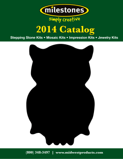 Kids` Stepping Stone Kit