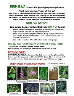 RRIP-IT-UP Info.pub - Alger County Courthouse.