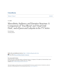 Masculinity, Audience, and Narrative Structure