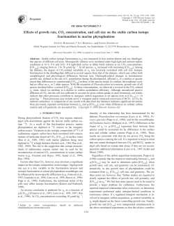Effects of growth rate, CO2 concentration, and cell size on the stable