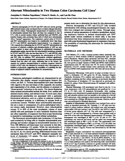 Aberrant Mitochondria in Two Human Colon Carcinoma Cell Lines1
