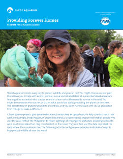 lesson five - Shedd Aquarium