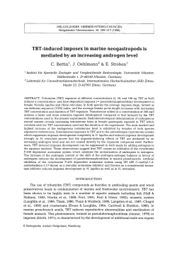 TBT-induced imposex in marine neogastropods is mediated by an