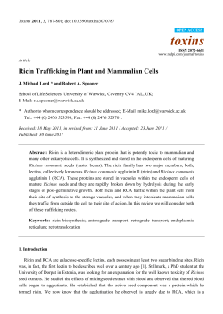 Ricin Trafficking in Plant and Mammalian Cells