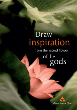 Cultivate Total - Anantara Lawana Koh Samui Resort