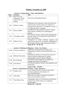 Monday, November 16, 2009