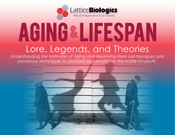 Lore, Legends, and Theories