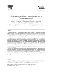 Geographic variation in growth responses in Phragmites australis