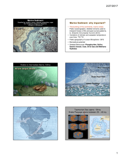 Marine Sediment: why important?