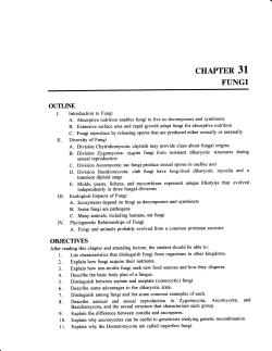 FUNGI - Scranton Prep Biology