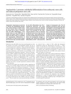 Angiopoietin-1 promotes endothelial differentiation from embryonic