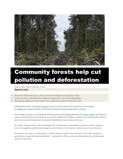 Community forests help cut pollution and deforestation