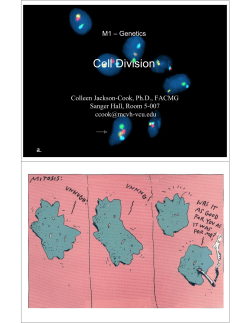 Cell Division - eCurriculum