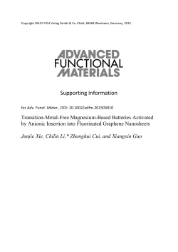 Supporting Information