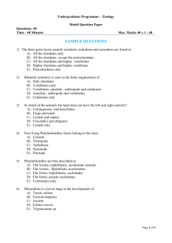 Zoology - SSSIHL