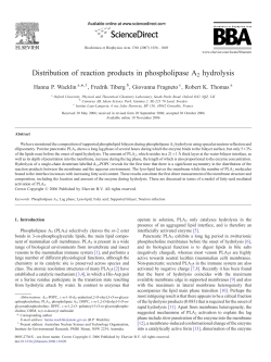 Distribution of reaction products in phospholipase A2 hydrolysis