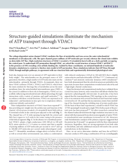 Structure-guided simulations illuminate the mechanism of ATP