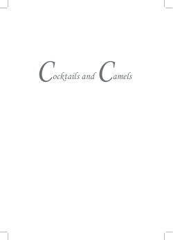 Cocktails and Camels - Bibliotheca Alexandrina